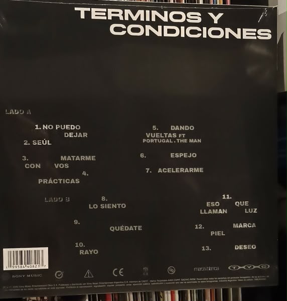 Usted Señalemelo - Terminos Y Condiciones - Vinilo - Imagen 2